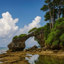 Amazing Andaman with Havelock and Neil Island